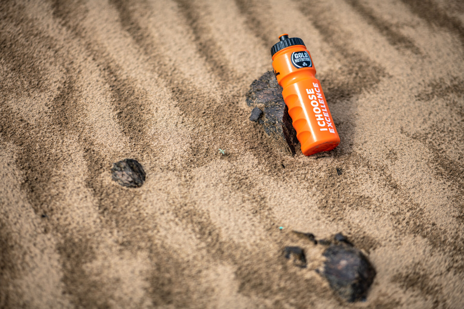 Silvestr na Dakaru 2021: Do nového roku v plném nasazení! Silvestr na Dakaru 2021: Do nového roku v plném nasazení!