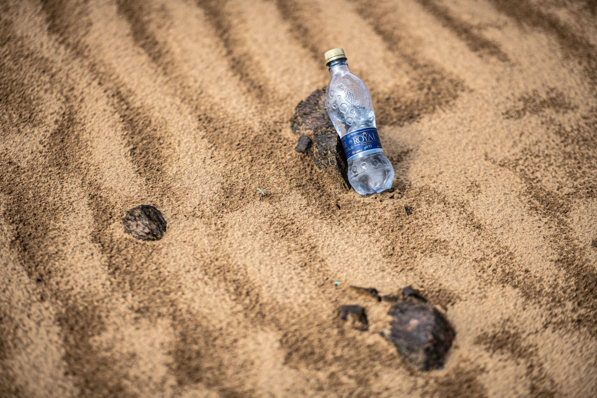 Silvestr na Dakaru 2021: Do nového roku v plném nasazení! Silvestr na Dakaru 2021: Do nového roku v plném nasazení!