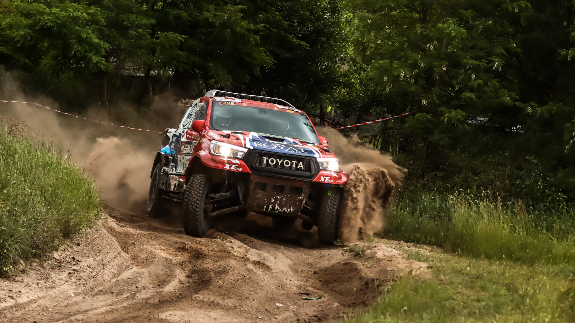 Satu Mare21 Satu Mare21