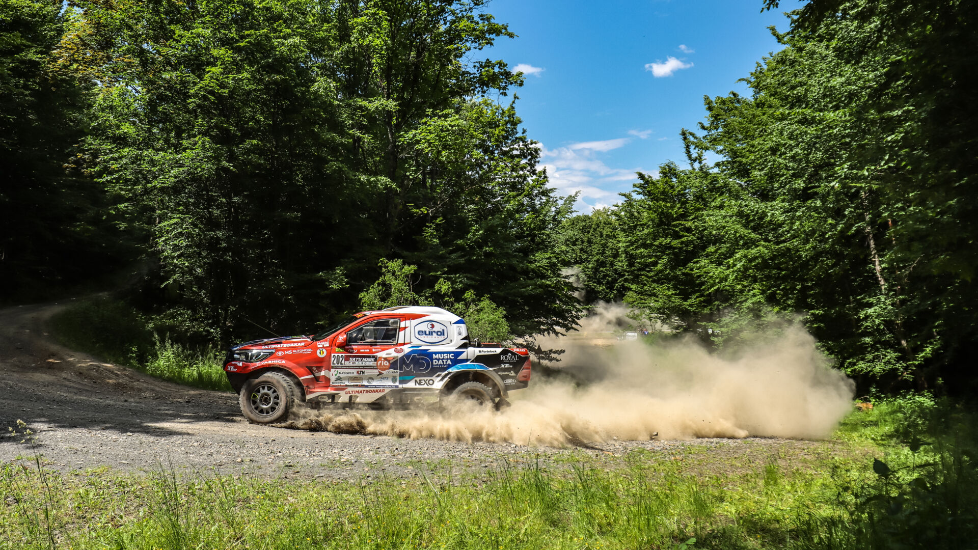 Satu Mare21 Satu Mare21