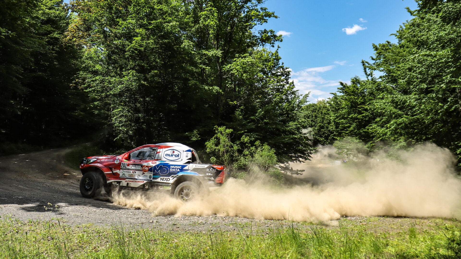 Satu Mare21 Satu Mare21