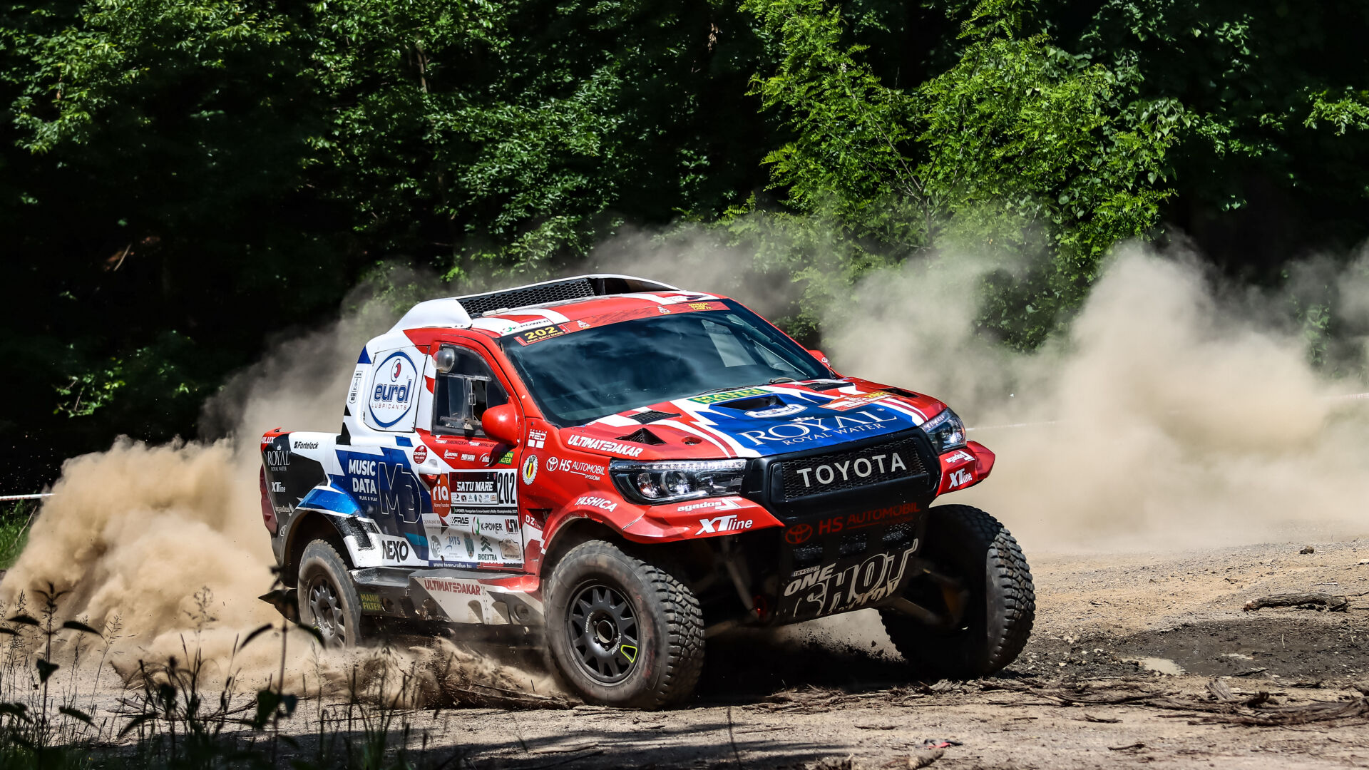 Satu Mare21 Satu Mare21