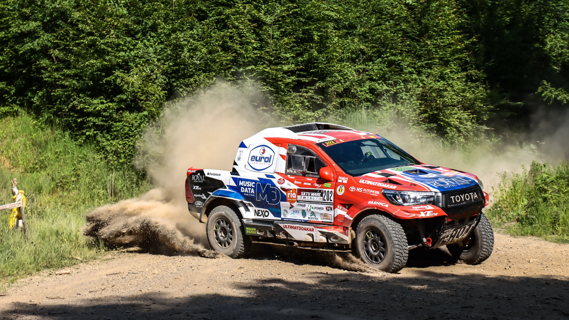 Satu Mare21 Satu Mare21