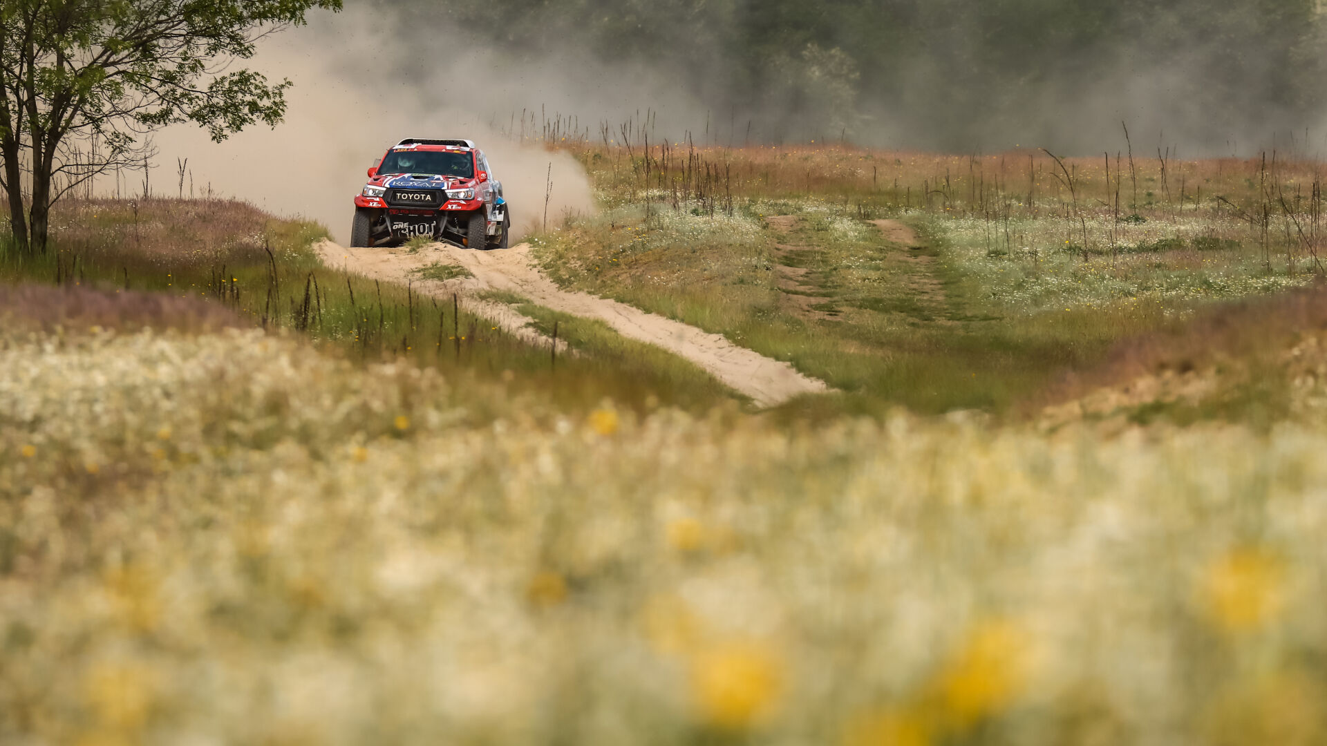 Satu Mare21 Satu Mare21