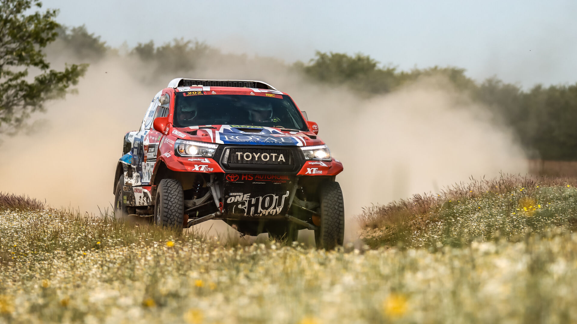 Satu Mare21 Satu Mare21