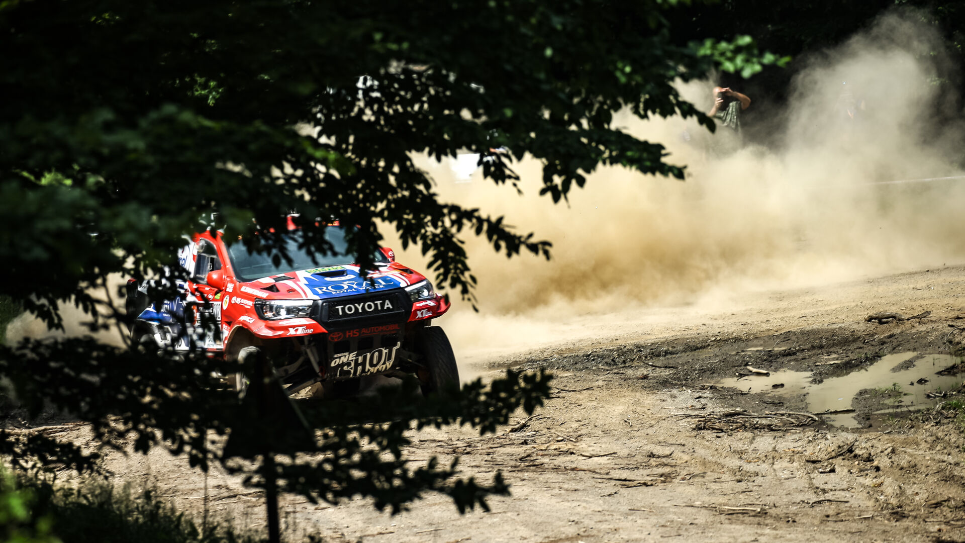 Satu Mare21 Satu Mare21