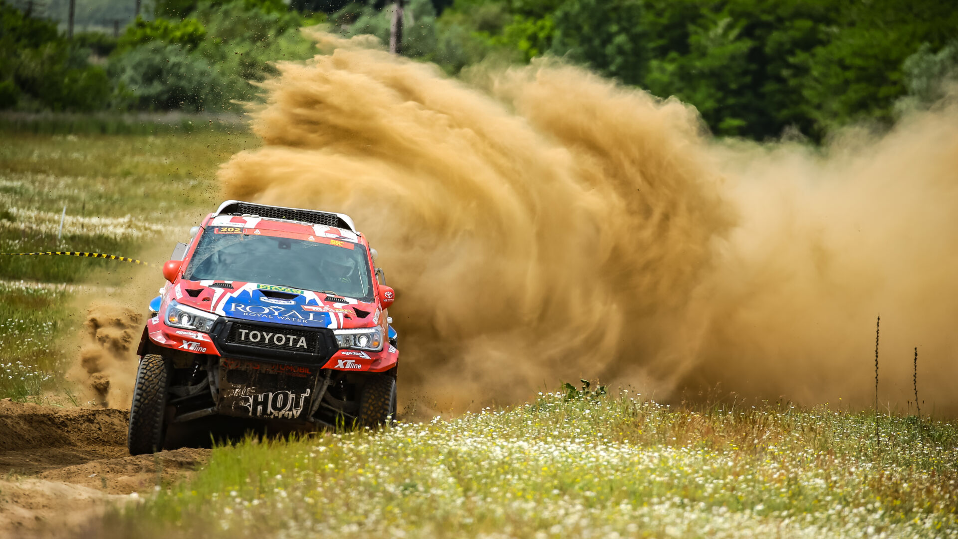 Satu Mare21 Satu Mare21