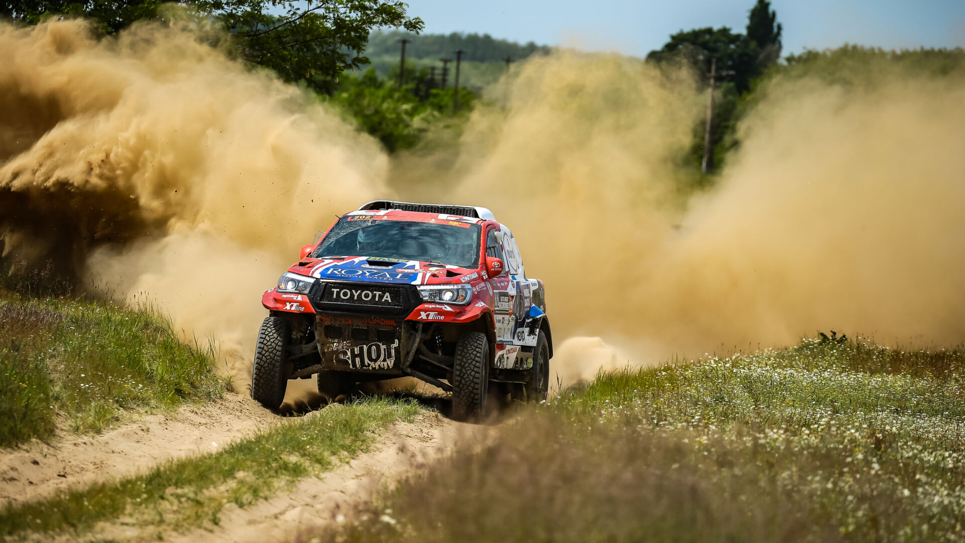 Satu Mare21 Satu Mare21