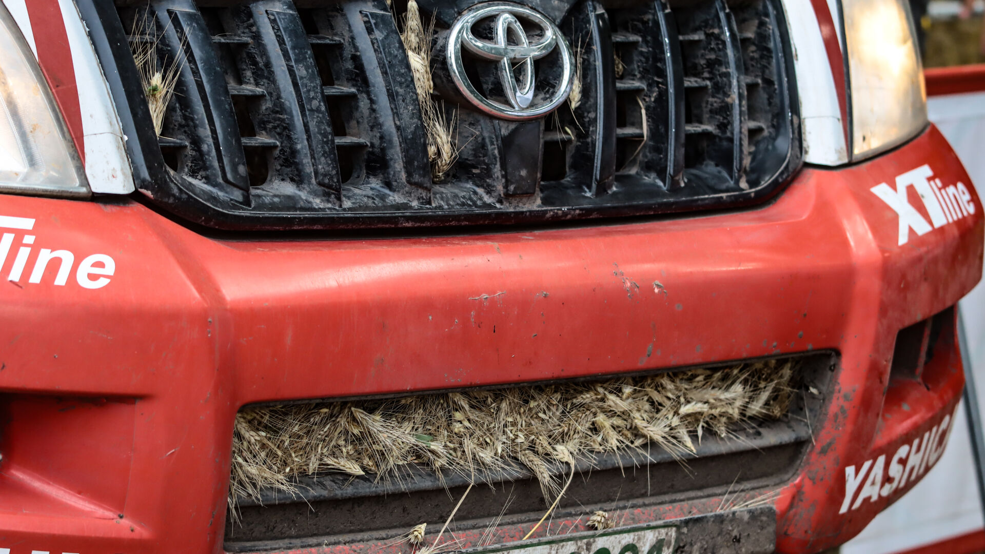 Nyír Baja 2021 Nyír Baja 2021