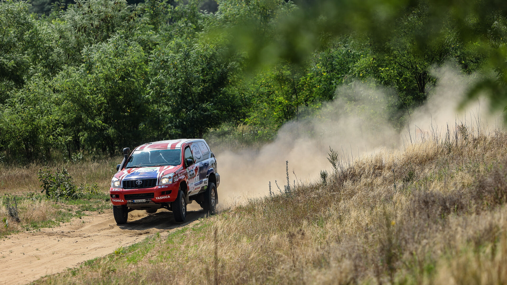 Nyír Baja 2021 Nyír Baja 2021