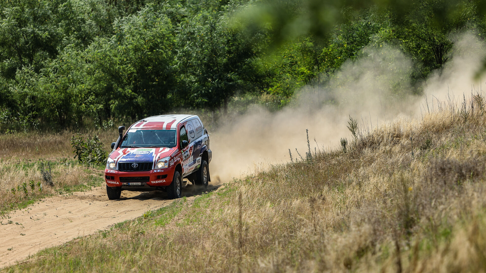 Nyír Baja 2021 Nyír Baja 2021