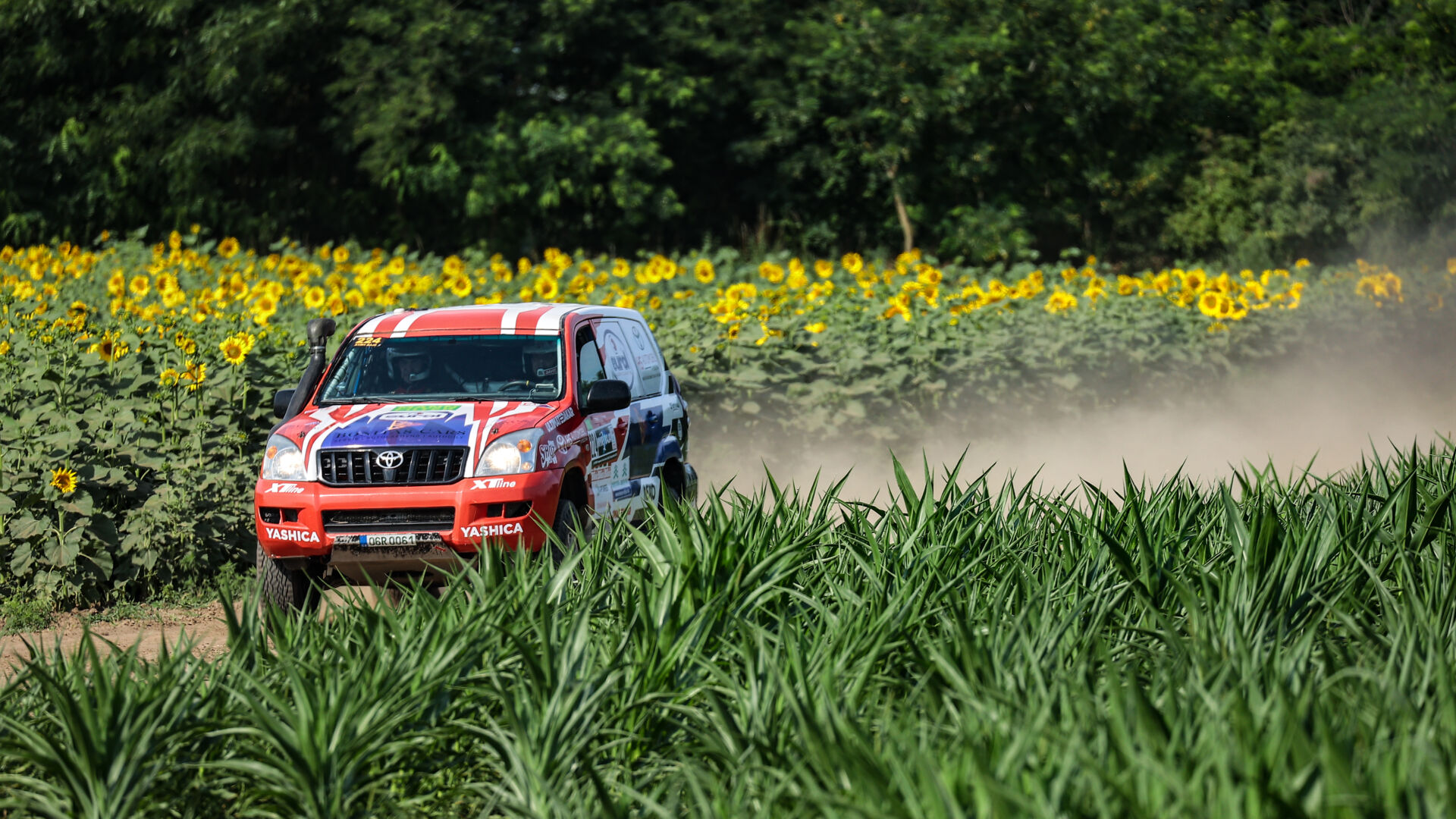 Nyír Baja 2021 Nyír Baja 2021