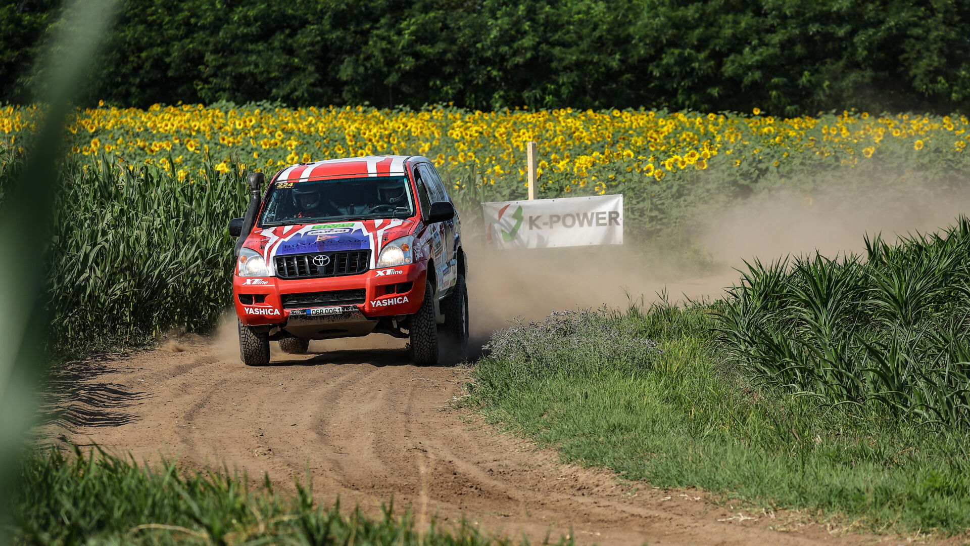 Nyír Baja 2021 Nyír Baja 2021