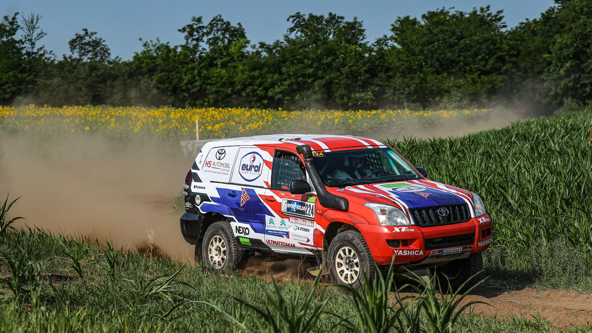 Nyír Baja 2021 Nyír Baja 2021