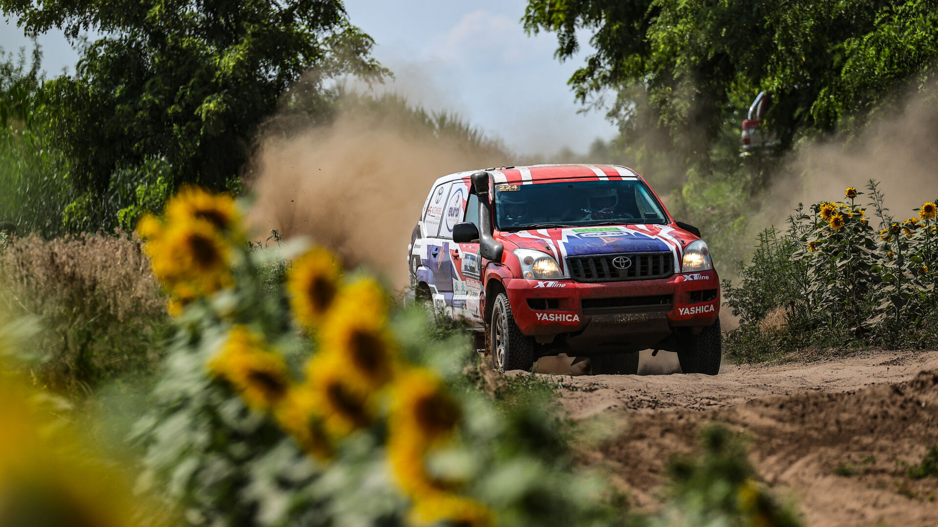 Nyír Baja 2021 Nyír Baja 2021