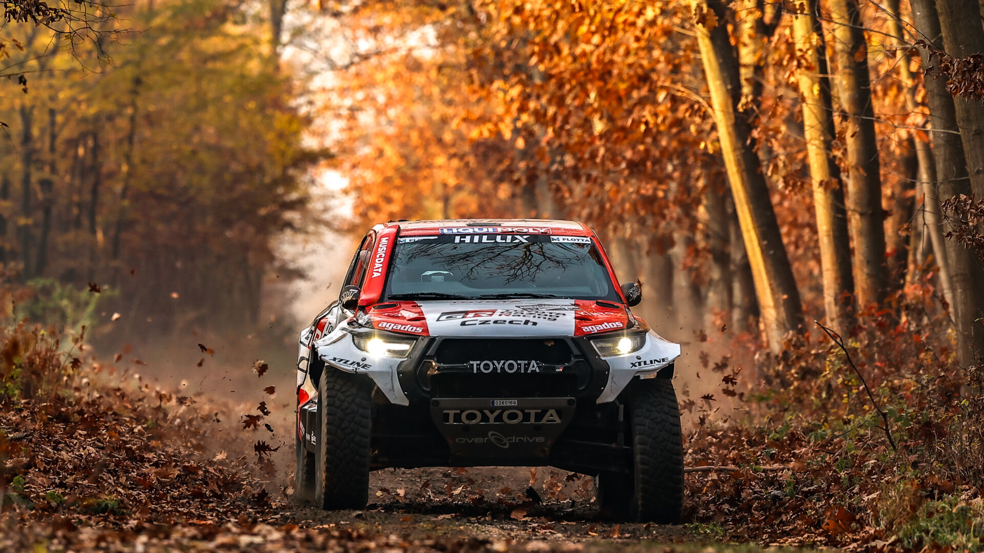 Raid of the Champions Maďarsko  Raid of the Champions Maďarsko