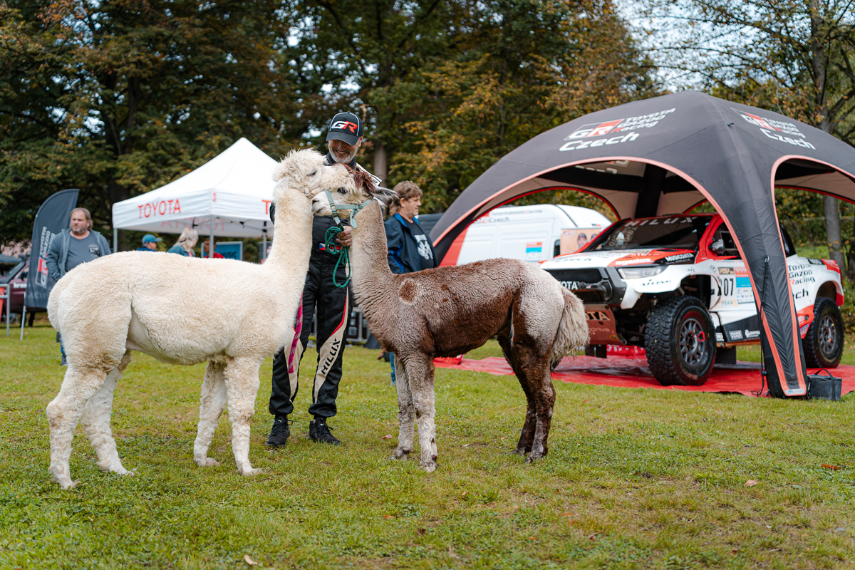 MotorSvět 2025 MotorSvět 2025