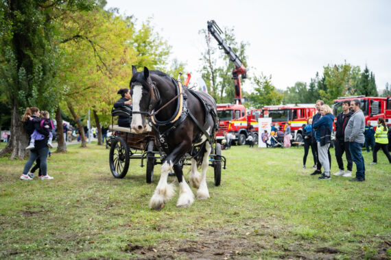 Obrázek galerie MotorSvět 2025