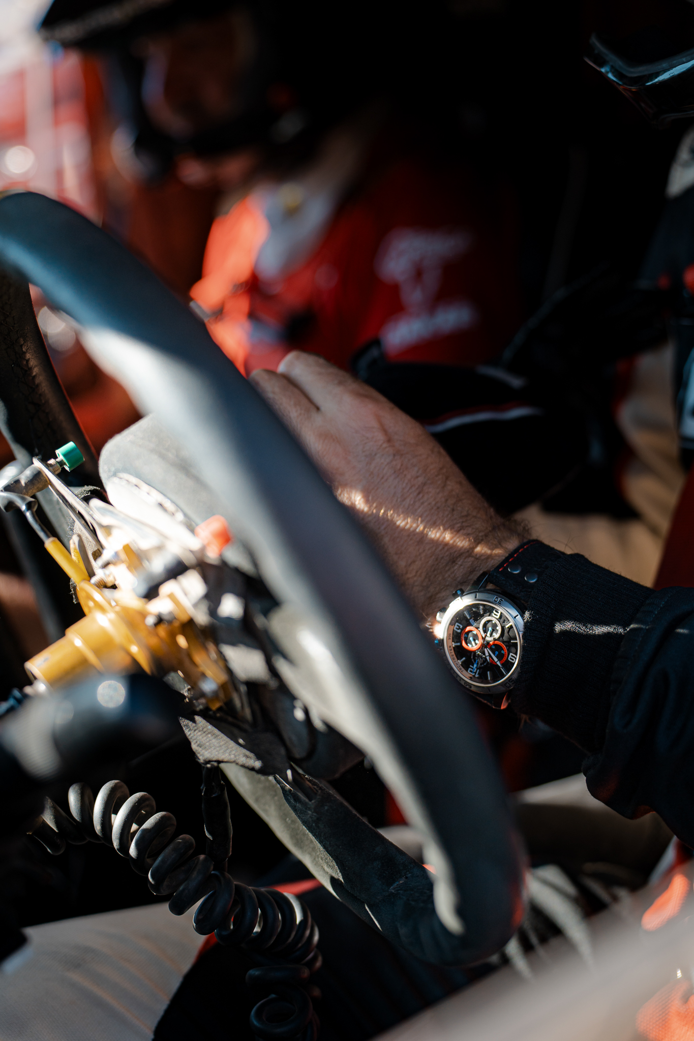 Pístovské mokřady a Zámek Kačina Pístovské mokřady a Zámek Kačina