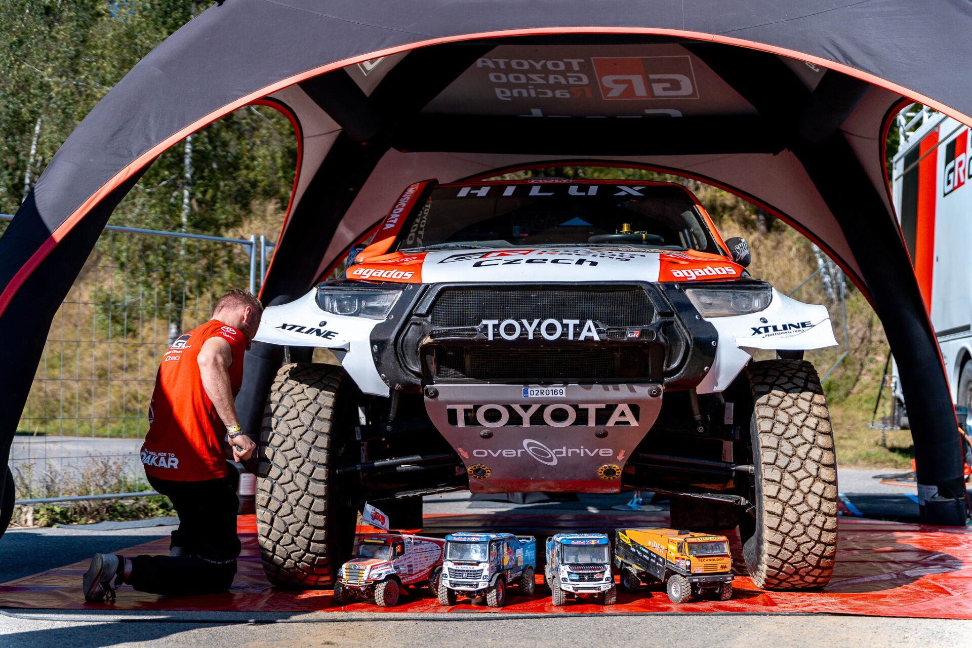 Pístovské mokřady a Zámek Kačina Pístovské mokřady a Zámek Kačina