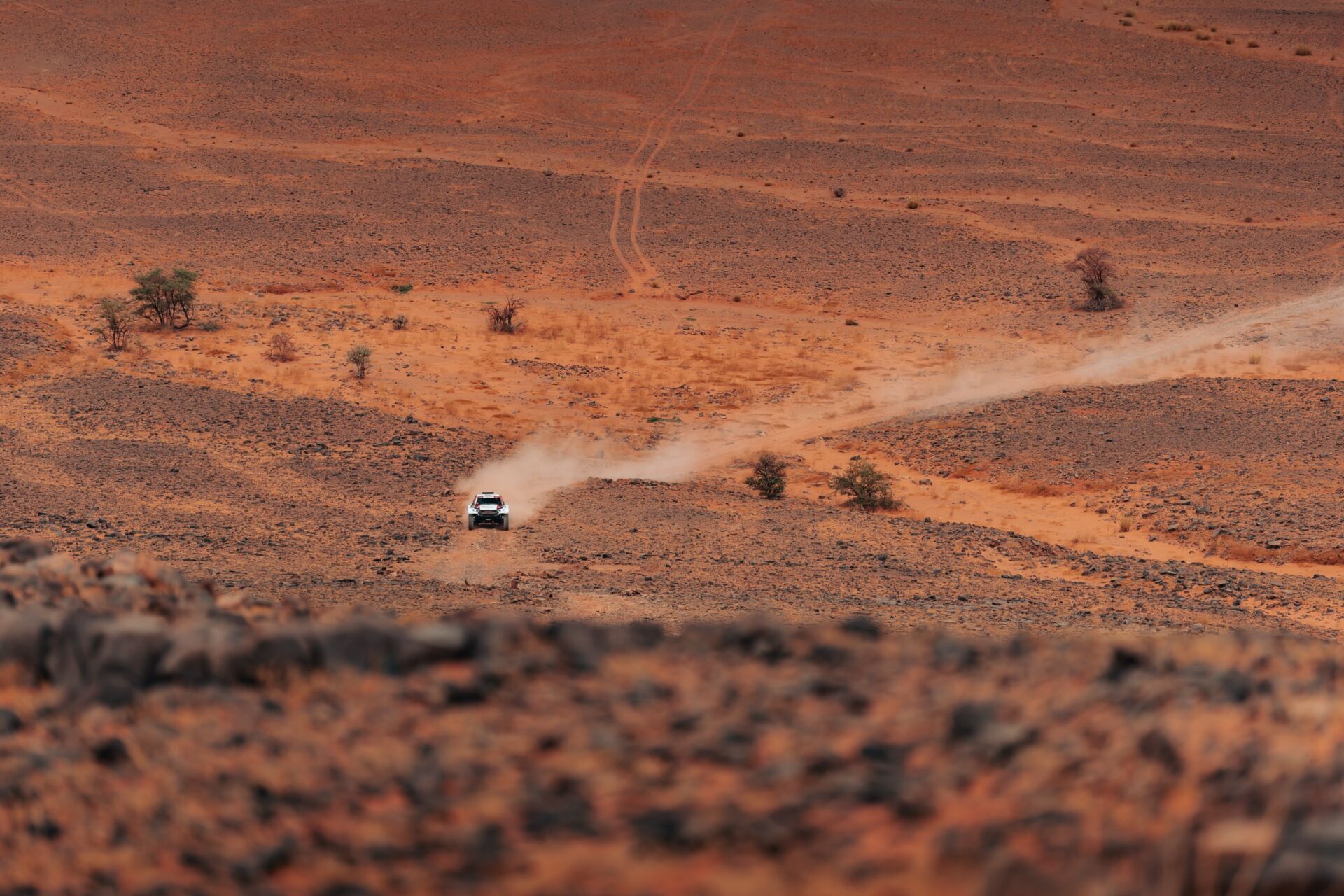 Rallye du Maroc 2025 Rallye du Maroc 2025